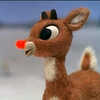 Team Page: Team Rudolph